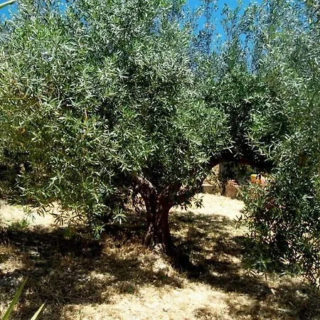 Agriturismo Due Ganee Agrigent