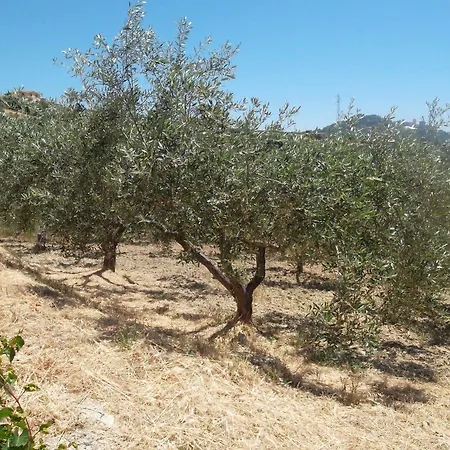 Agriturismo Due Ganèe Agroturismo